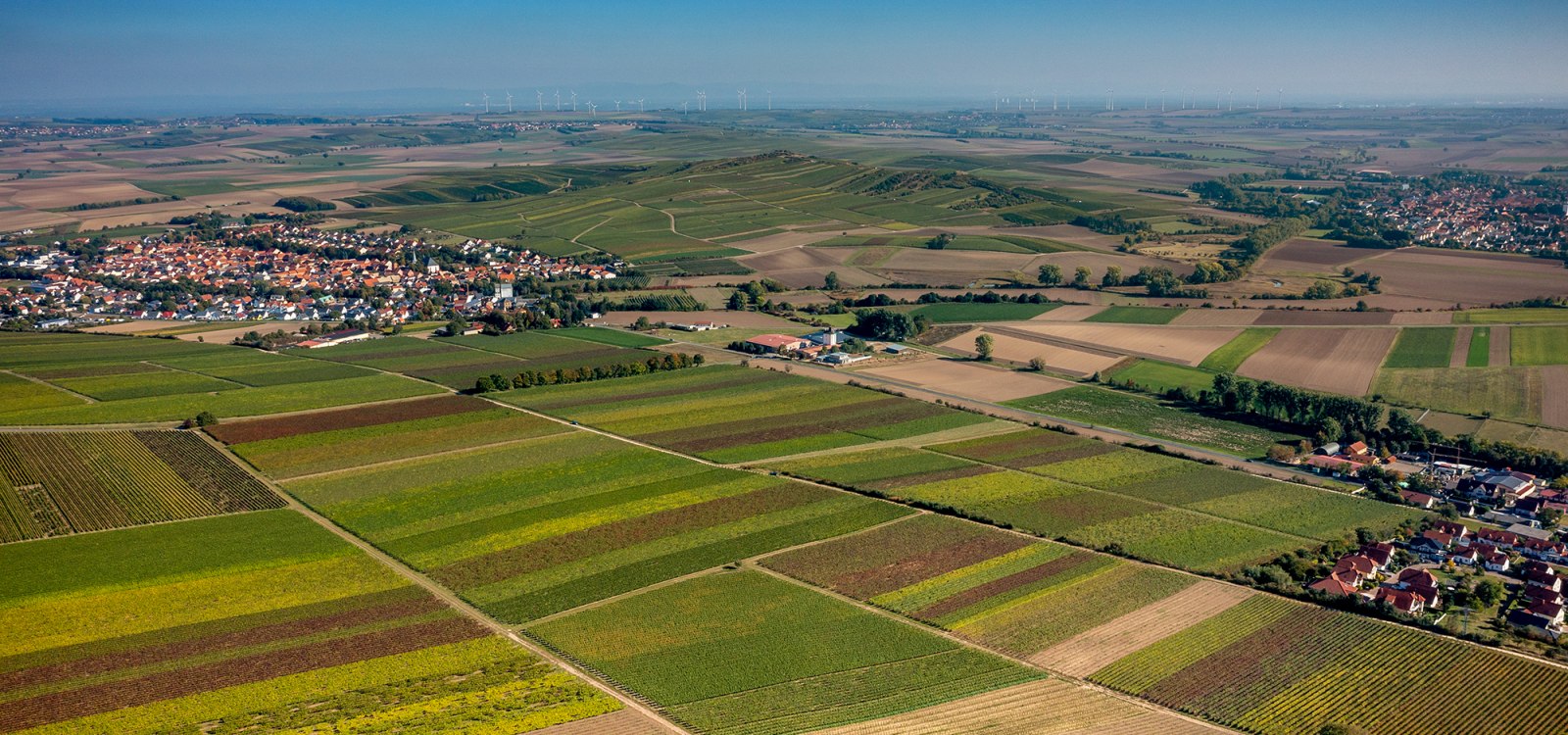 Biebelnheimer Pilgerstein Biebelnheimer Pilgerstein
