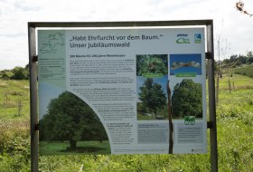 Infotafel "Jubiläumswald" © Dominik Ketz Infotafel "Jubiläumswald" © Dominik Ketz