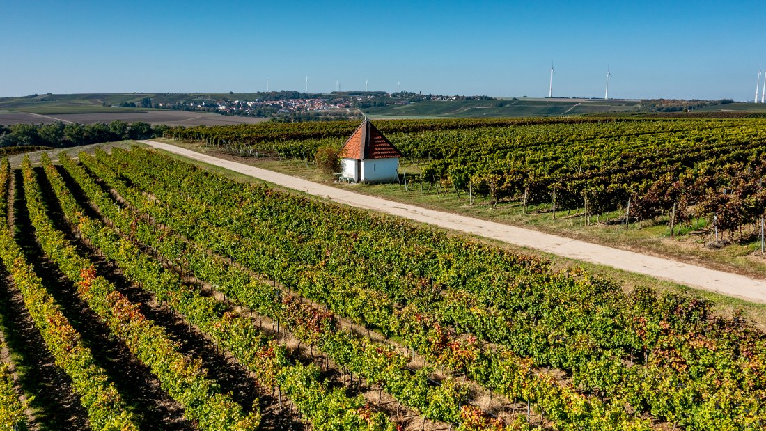 Biebelnheimer Rosengarten Biebelnheimer Rosengarten