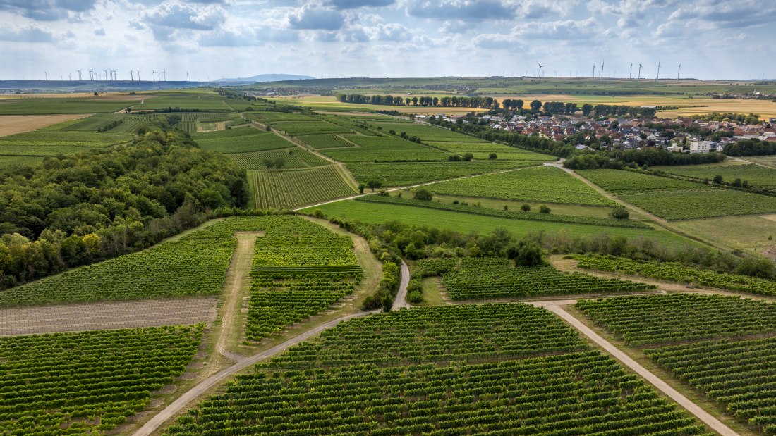 Mörstädter Katzebuckel, © Torsten Silz Mörstädter Katzebuckel, © Torsten Silz