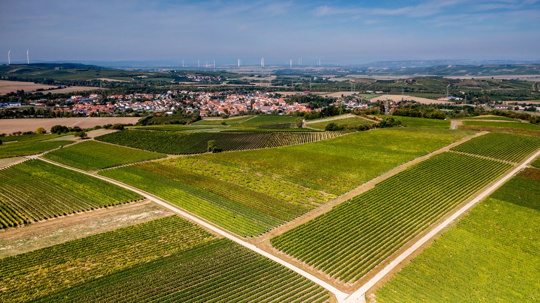 Albiger Schloss Hammerstein Albiger Schloss Hammerstein