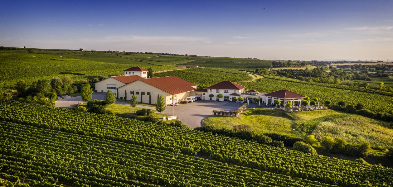 Weingut Raddeck_Weingut 2, © Weingut Raddeck Weingut Raddeck_Weingut 2, © Weingut Raddeck