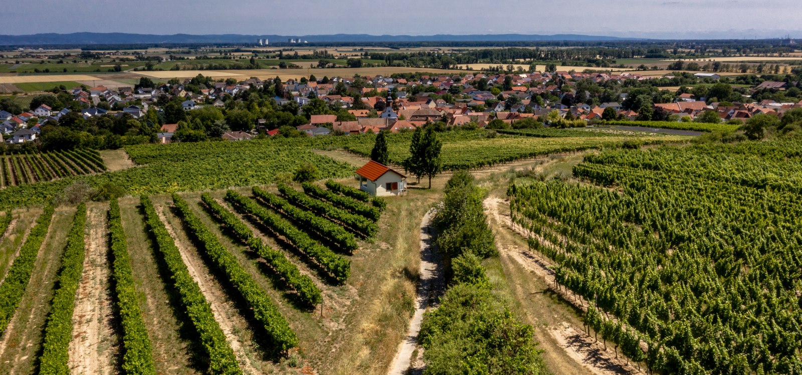 Mettenheimer Schlossberg Mettenheimer Schlossberg