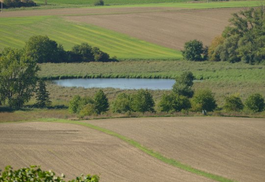 Sörgenlocher Wanderweg Sörgenlocher Wanderweg