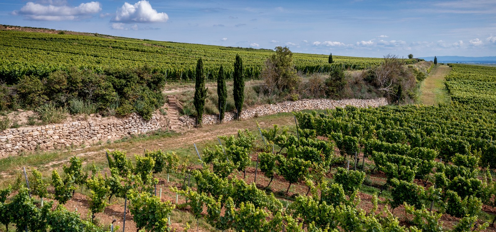 Westhofener Brunnenhäuschen Westhofener Brunnenhäuschen