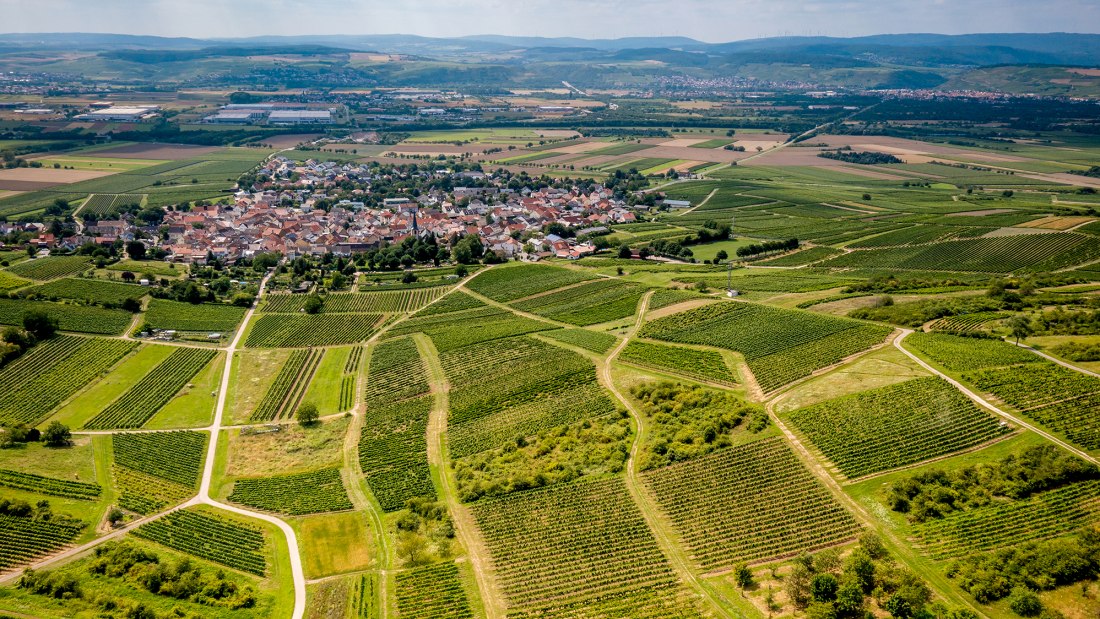 Dromersheimer Klosterweg Dromersheimer Klosterweg