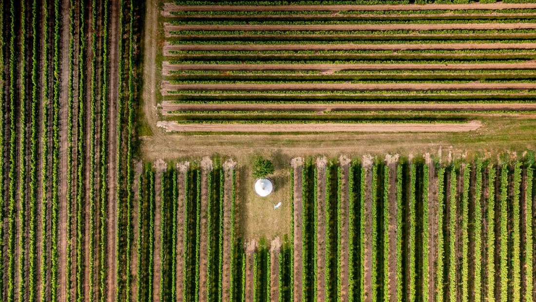 Gundheimer Mandelbrunnen Gundheimer Mandelbrunnen