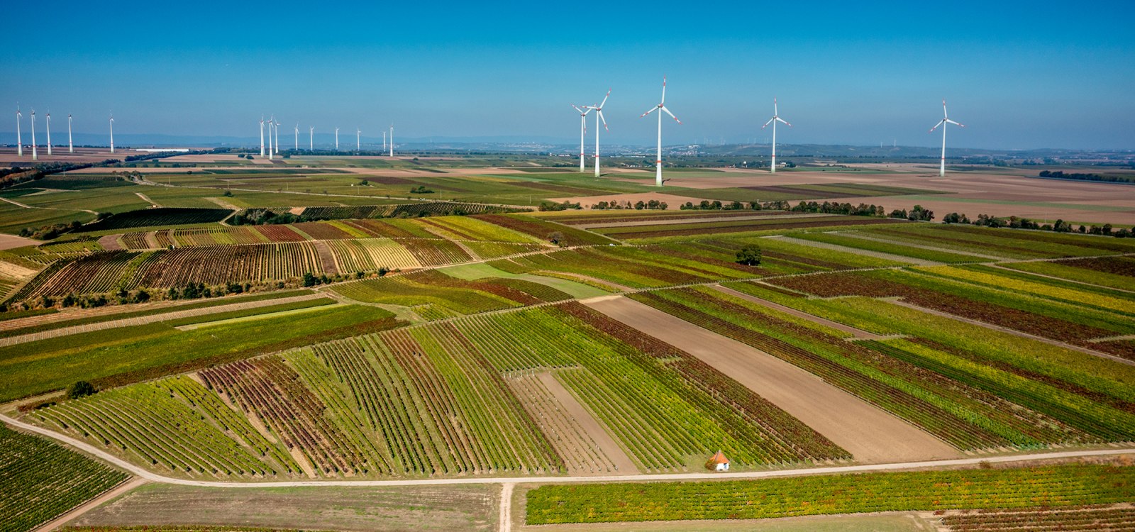 Biebelnheimer Rosengarten Biebelnheimer Rosengarten