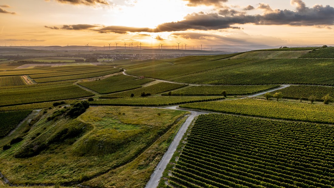 Ensheimer Kachelberg Ensheimer Kachelberg