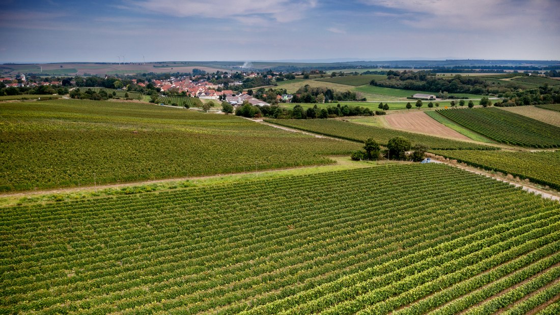 Selzener Osterberg Selzener Osterberg