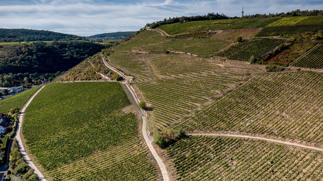 Binger Scharlachberg Binger Scharlachberg