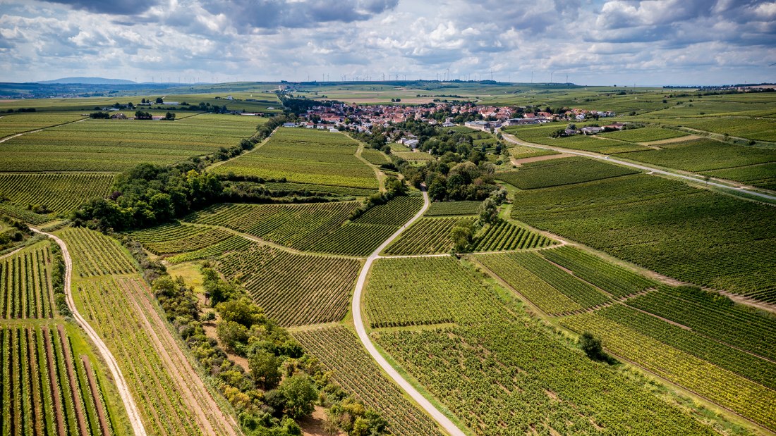 Bechtheimer Stein Bechtheimer Stein