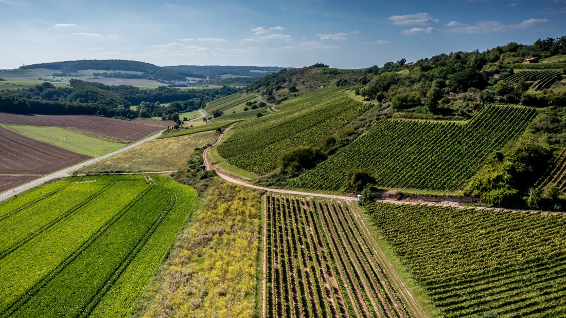 Siefersheimer Heerkretz Siefersheimer Heerkretz