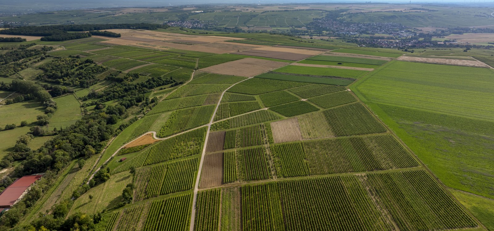 Nieder-Hilbersheimer Steinacker, © Torsten Silz Nieder-Hilbersheimer Steinacker, © Torsten Silz