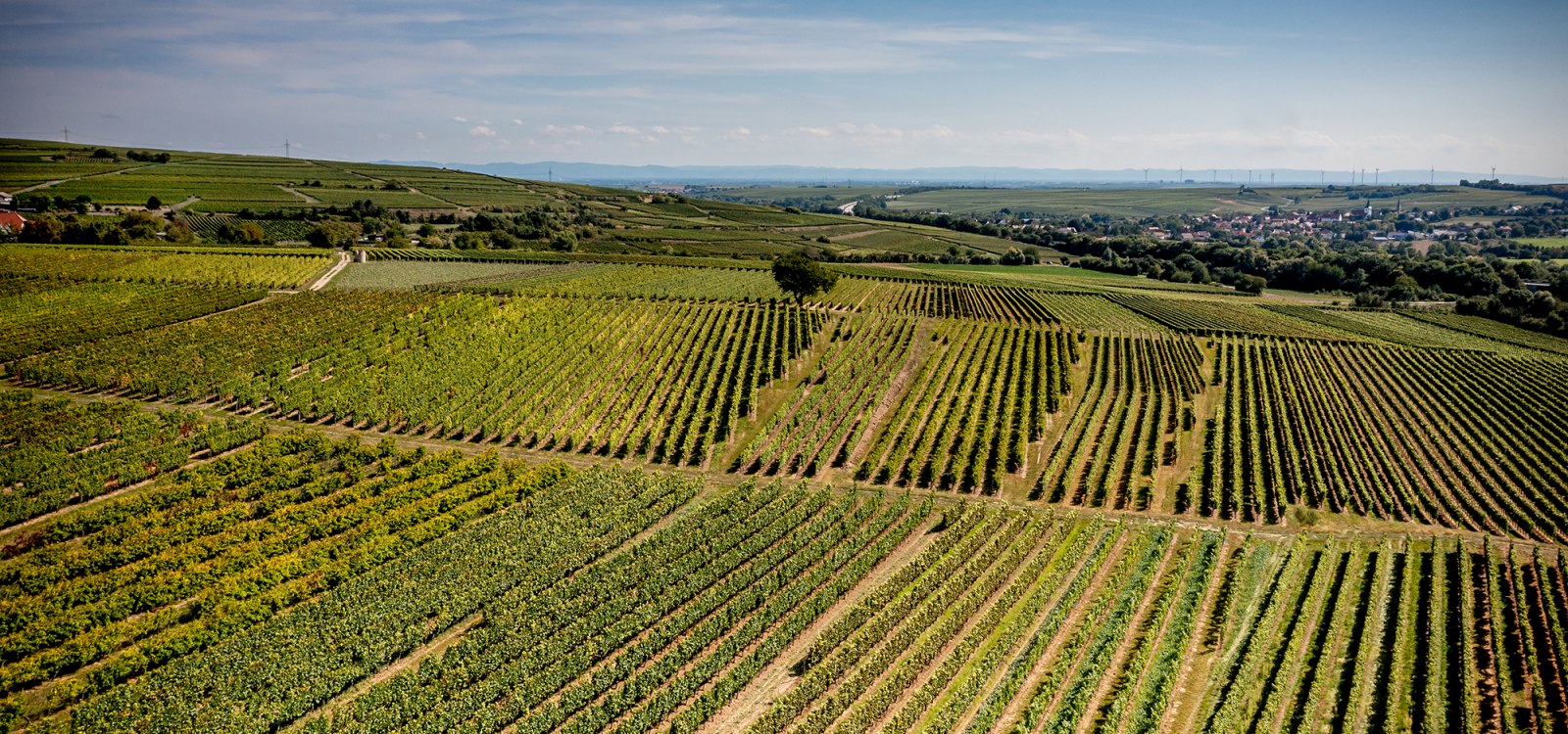 Eppelsheimer Felsen Eppelsheimer Felsen