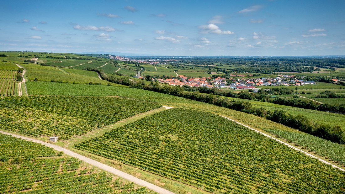 Ludwigshöher Teufelskopf Ludwigshöher Teufelskopf