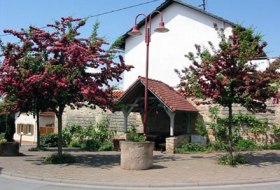 Dorfplatz Ensheim Dorfplatz Ensheim