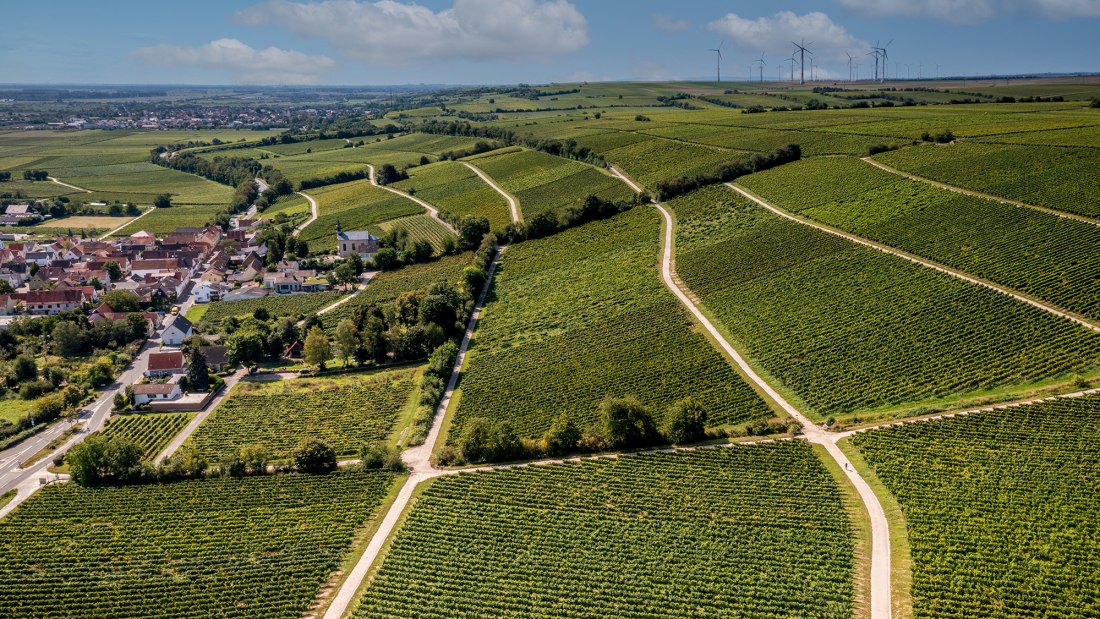 Dienheimer Tafelstein Dienheimer Tafelstein