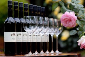 Weingut Schnabel_Weinflaschen, © Weingut Schnabel Weingut Schnabel_Weinflaschen, © Weingut Schnabel