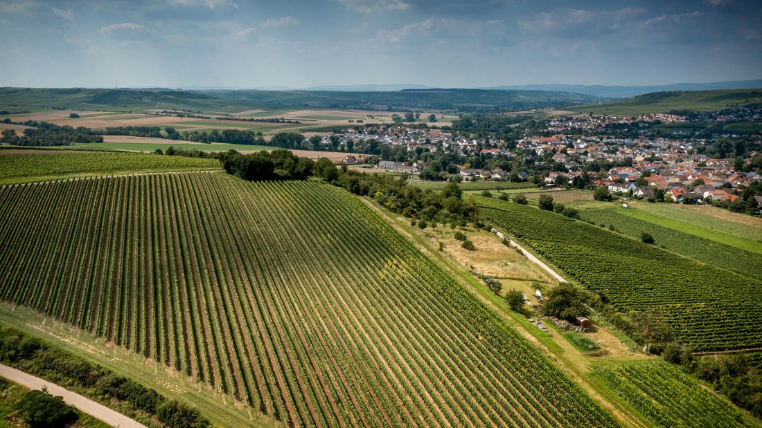 Stadecker Lenchen Stadecker Lenchen