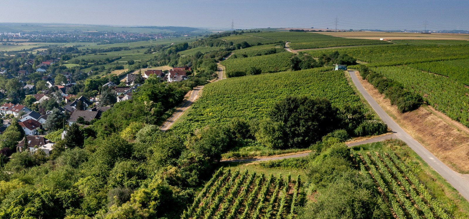 Laubenheimer Johannisberg Laubenheimer Johannisberg