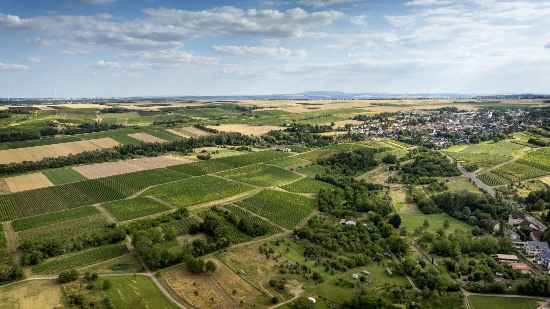Partenheimer Sankt Georgen, © Torsten Silz Partenheimer Sankt Georgen, © Torsten Silz