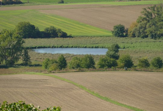 Sörgenlocher Wanderweg Sörgenlocher Wanderweg