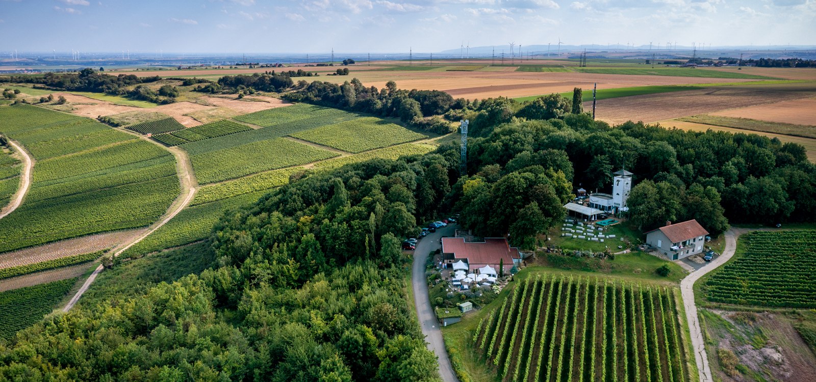 Dittelsheimer Kloppberg Dittelsheimer Kloppberg