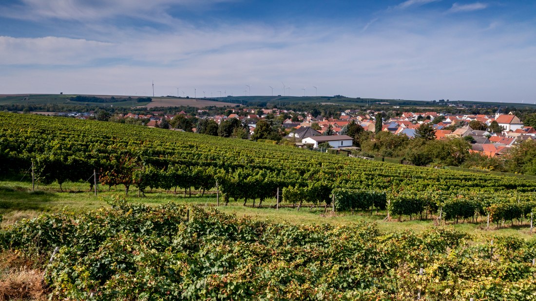Albiger Schloss Hammerstein Albiger Schloss Hammerstein