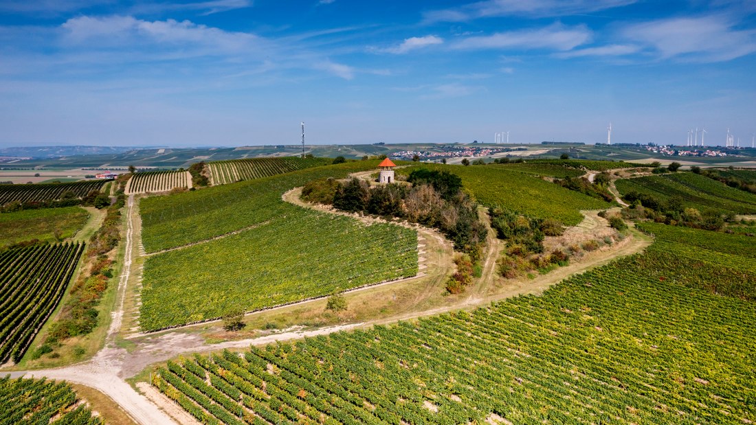 Albiger Hundskopf Albiger Hundskopf