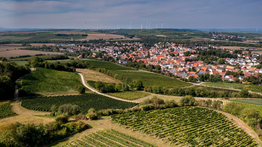 Albiger Schloss Hammerstein Albiger Schloss Hammerstein