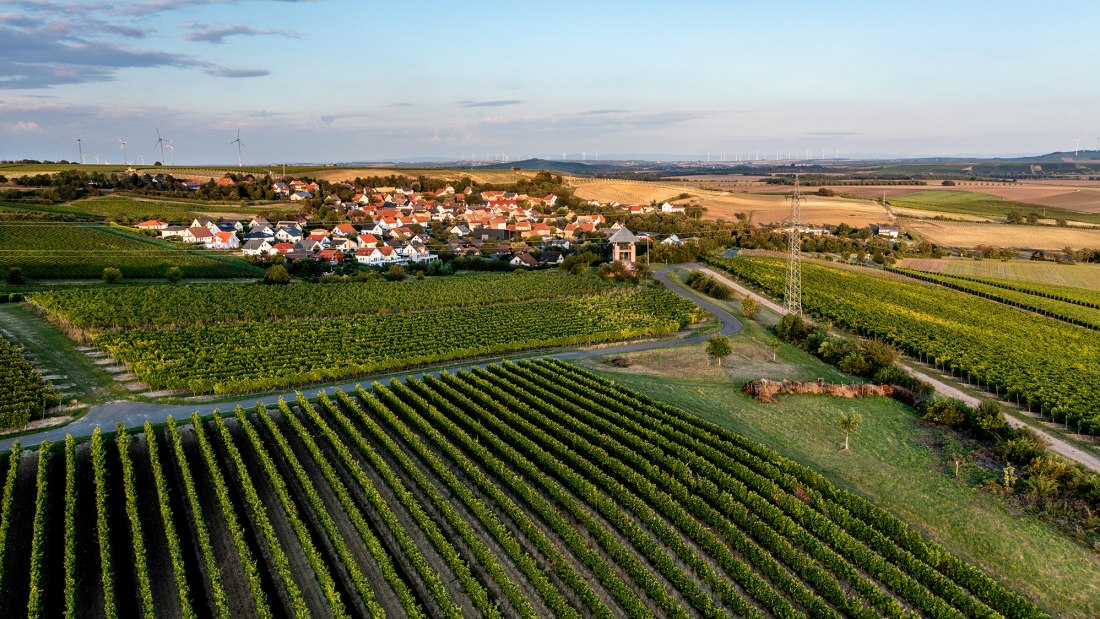 Ensheimer Kachelberg Ensheimer Kachelberg