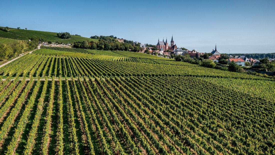 Oppenheimer Kreuz Oppenheimer Kreuz