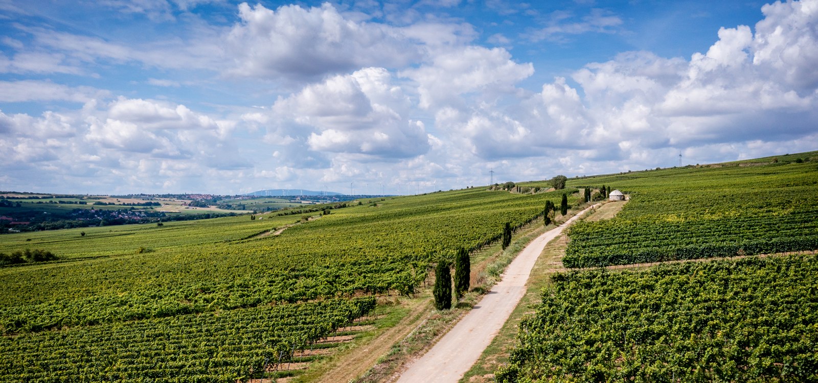 Westhofener Morstein Westhofener Morstein