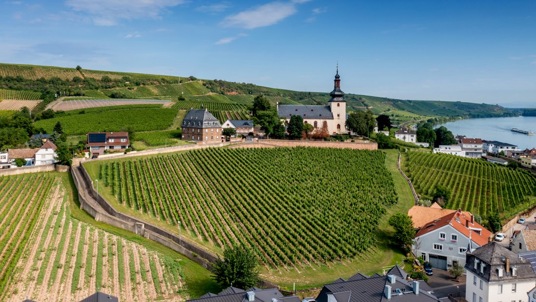 Niersteiner Glöck Niersteiner Glöck