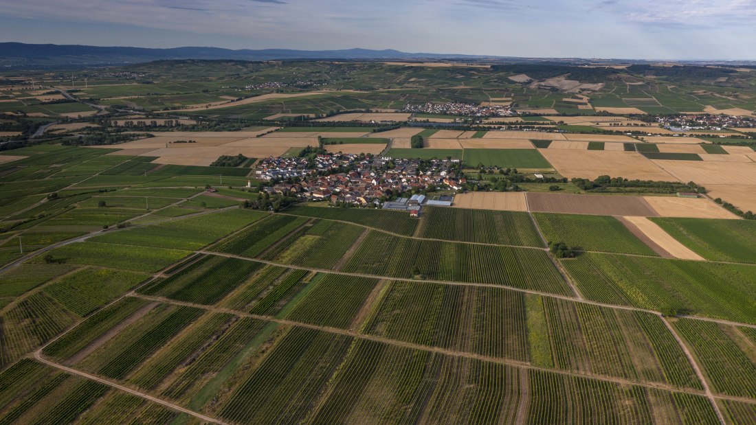 Biebelsheimer Kieselberg Biebelsheimer Kieselberg