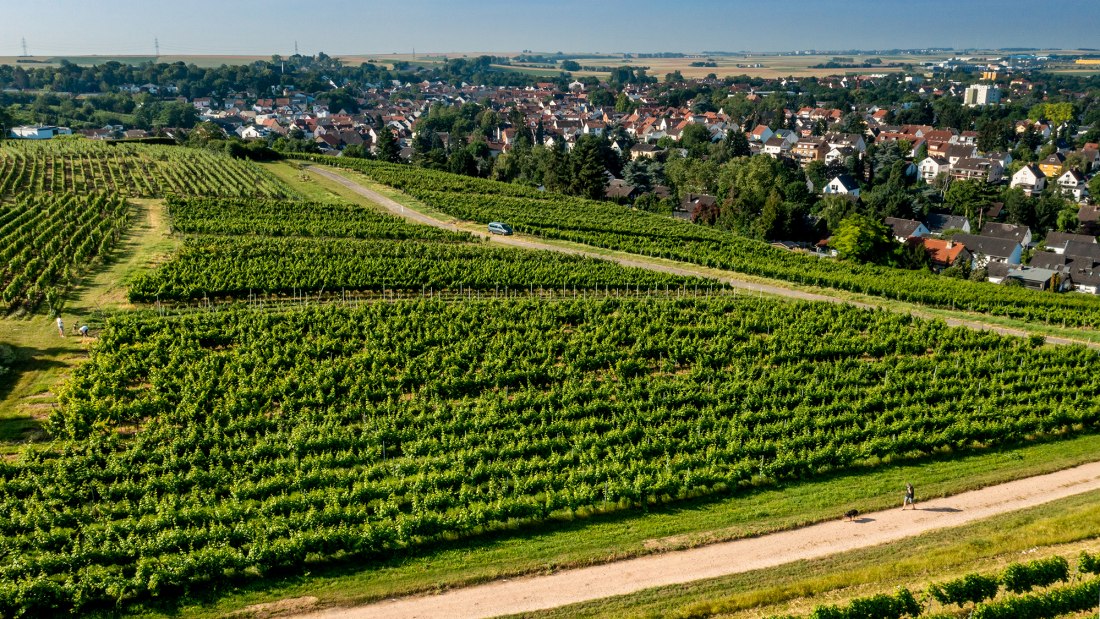 Hechtsheimer Kirchenstück Hechtsheimer Kirchenstück