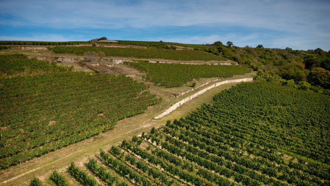 Groß-Winternheimer Bockstein Groß-Winternheimer Bockstein