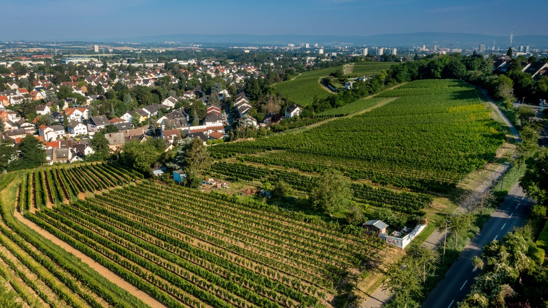 Hechtsheimer Kirchenstück Hechtsheimer Kirchenstück
