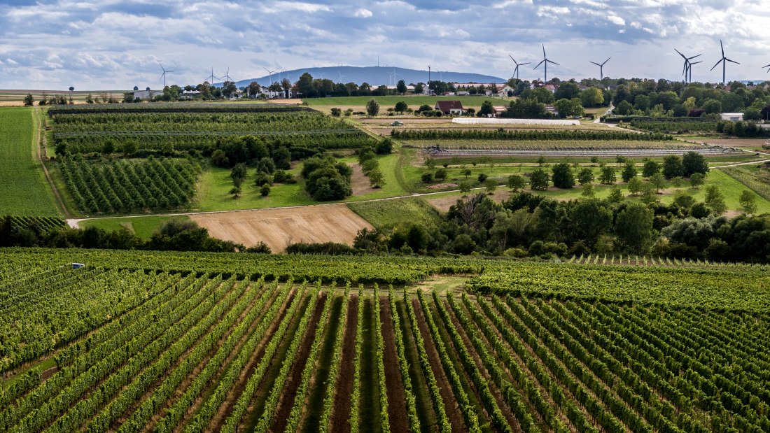 Ober-Flörsheimer Blücherpfad Ober-Flörsheimer Blücherpfad