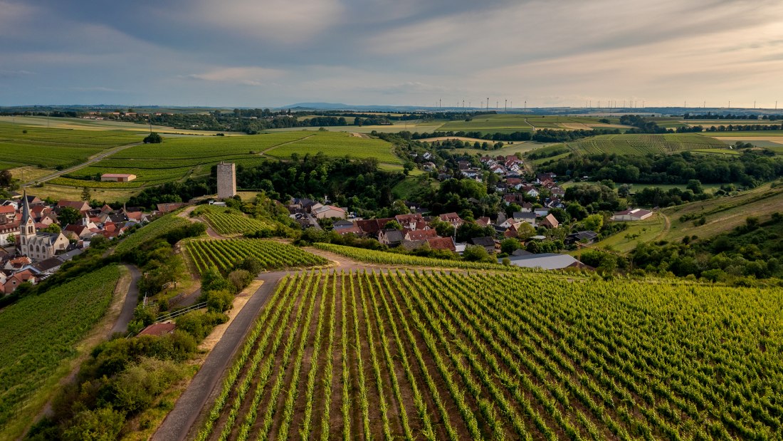 Niersteiner Schloß Schwabsburg Niersteiner Schloß Schwabsburg
