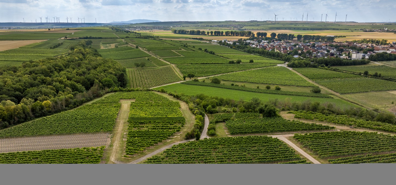 Mörstädter Katzebuckel, © Torsten Silz Mörstädter Katzebuckel, © Torsten Silz
