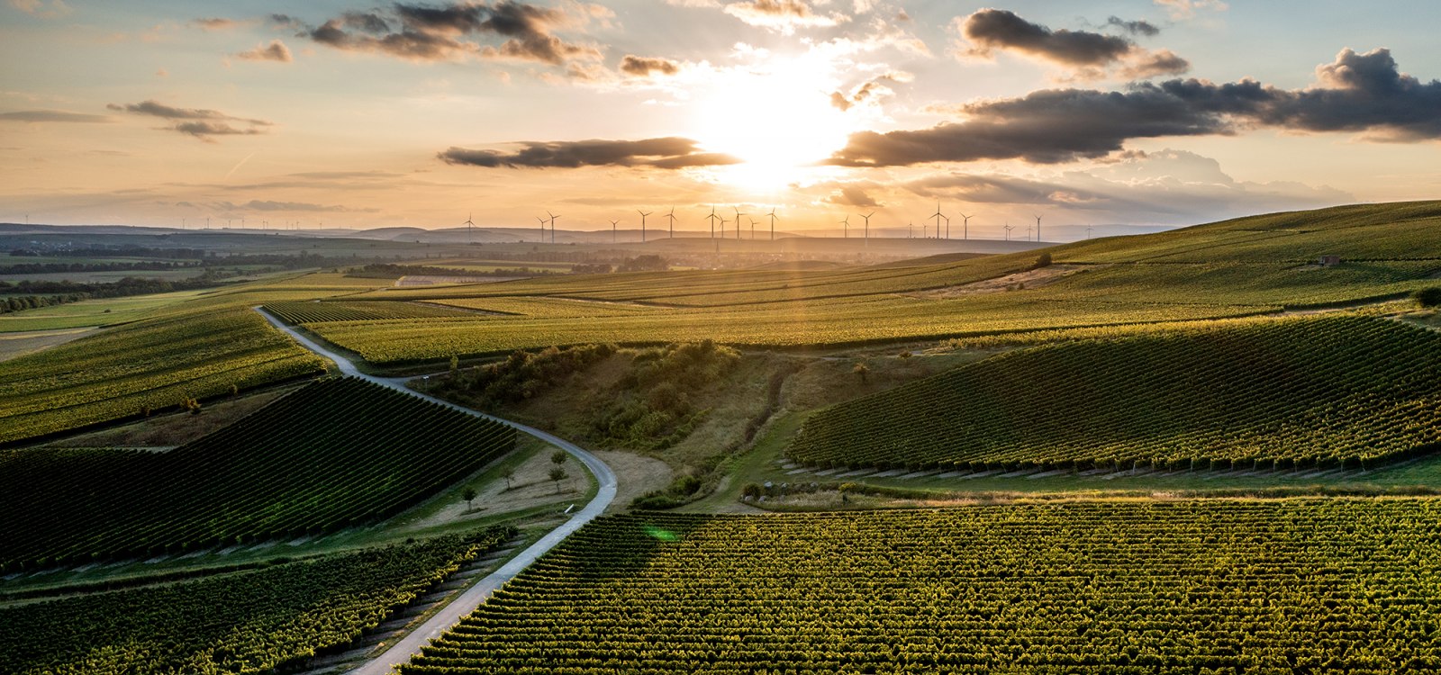 Ensheimer Kachelberg Ensheimer Kachelberg