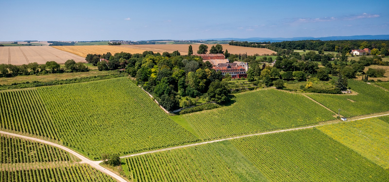 Ingelheimer Schloß Westerhaus Ingelheimer Schloß Westerhaus