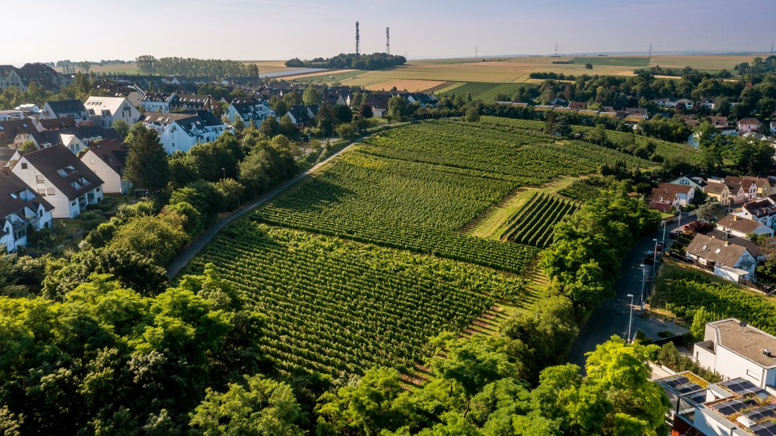 Hechtsheimer Kirchenstück Hechtsheimer Kirchenstück