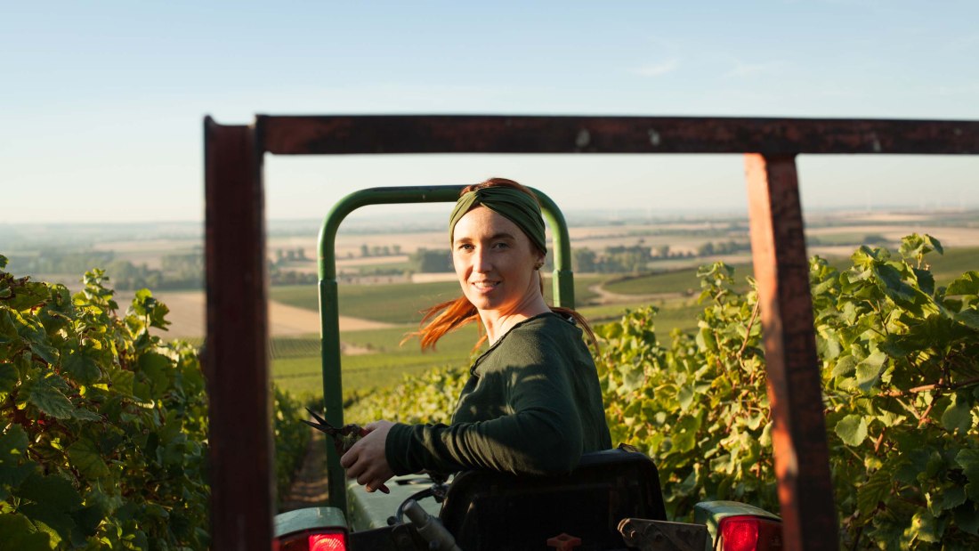 Weingut Schittler & Becker_Julia Schittler, © Weingut Schittler & Becker Weingut Schittler & Becker_Julia Schittler, © Weingut Schittler & Becker
