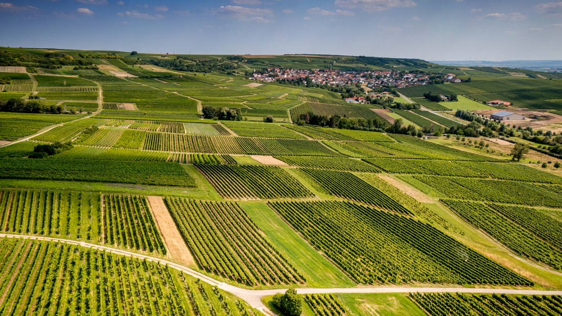 Dromersheimer Klosterweg Dromersheimer Klosterweg