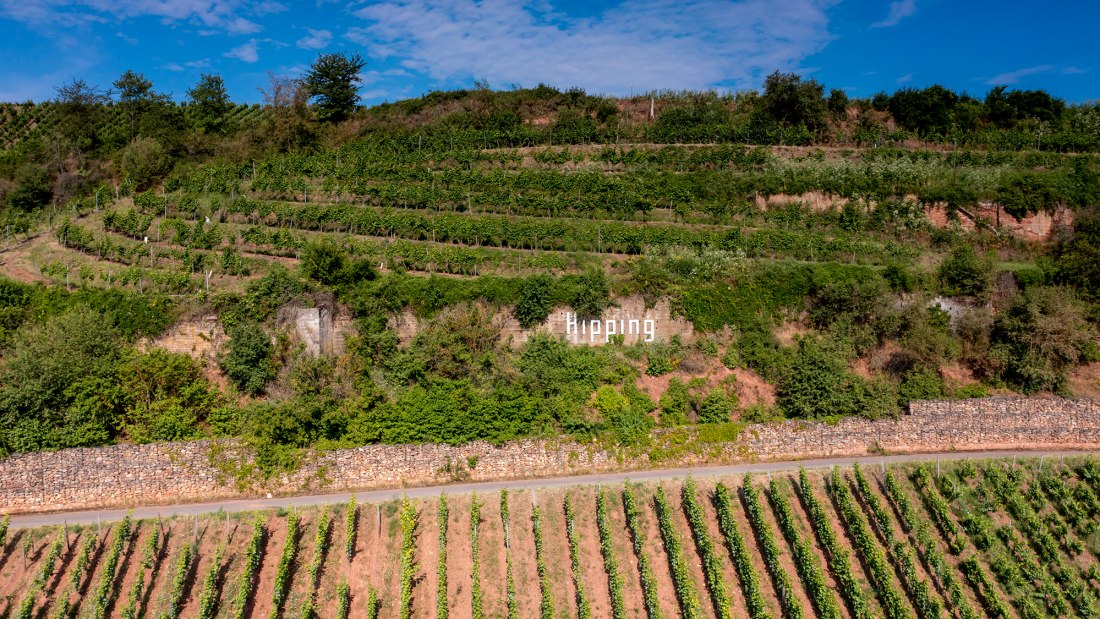 Niersteiner Hipping Niersteiner Hipping