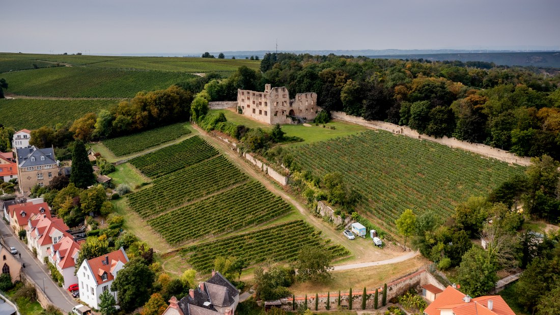 Oppenheimer Herrenberg Oppenheimer Herrenberg