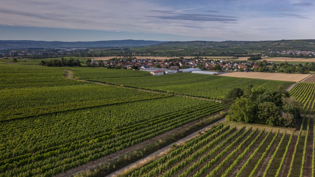 Biebelsheimer Kieselberg Biebelsheimer Kieselberg